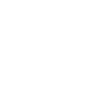 White Phone icon